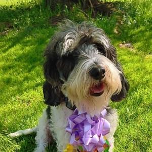 Meet your Posher, Judi